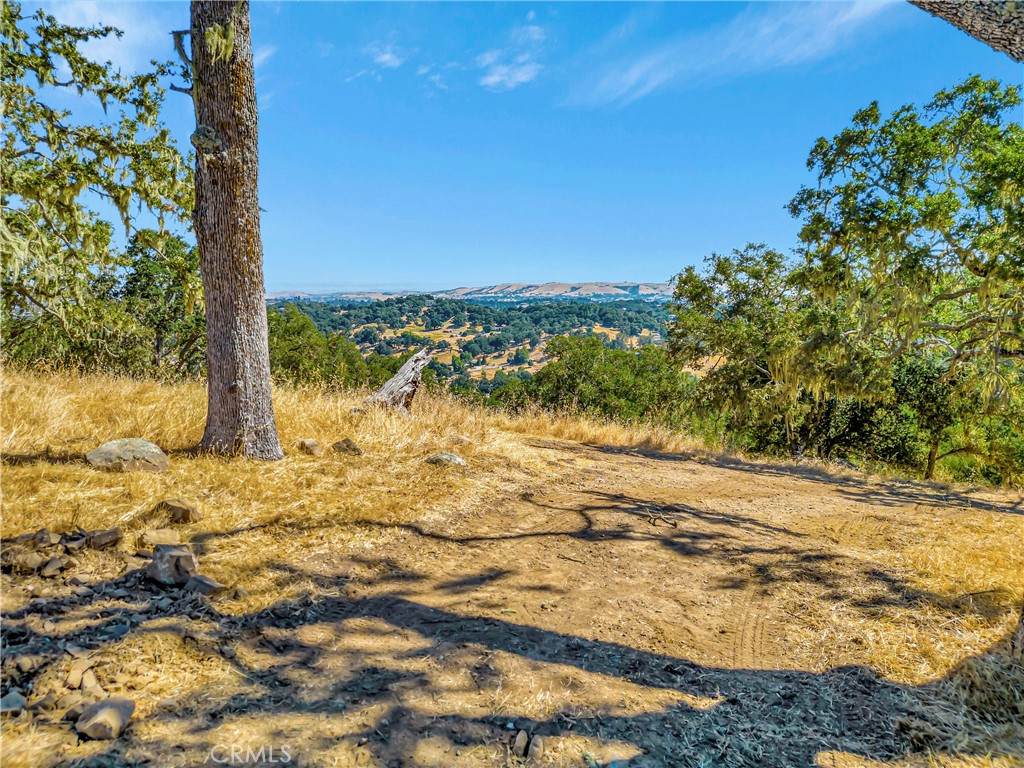 6452 Alta Pradera - Photo 1