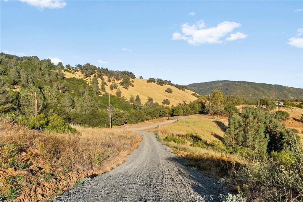 10761 Red Eye Road - Photo 1