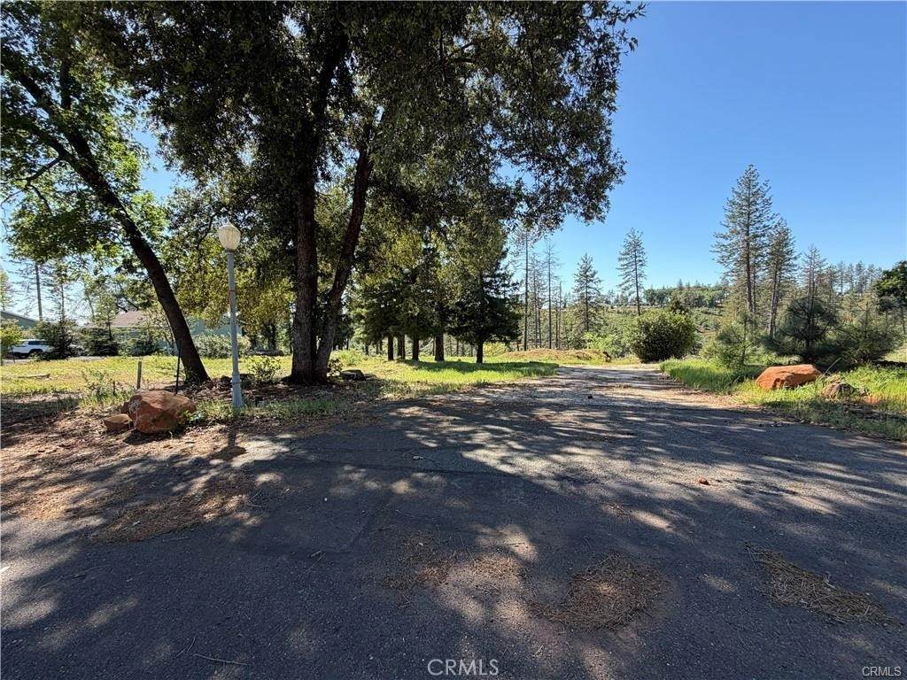 5665 Chaney - Photo 1