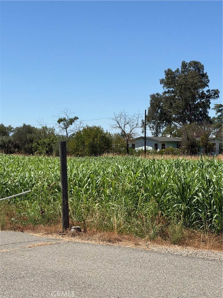 https://bt-photos.global.ssl.fastly.net/socal/orig_boomver_1_447603363-2.jpg