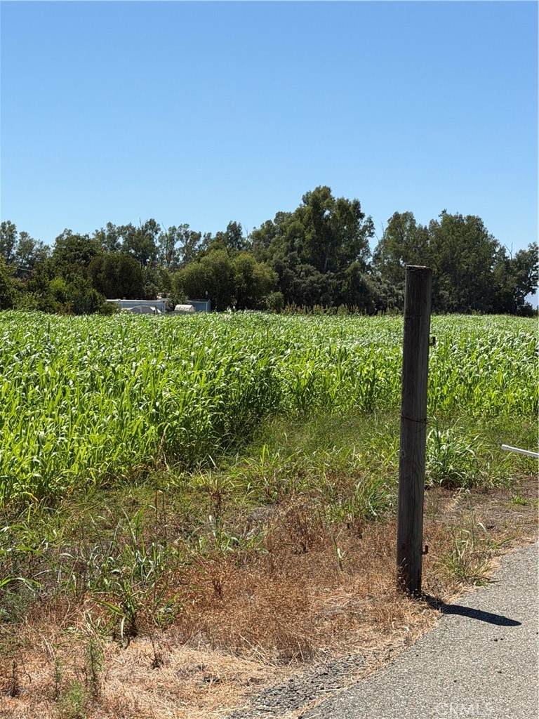 https://bt-photos.global.ssl.fastly.net/socal/orig_boomver_1_447603363-2.jpg