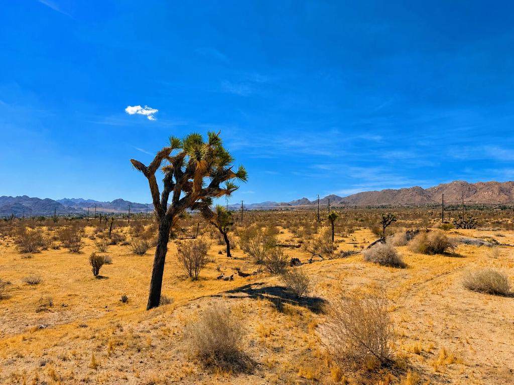 https://bt-photos.global.ssl.fastly.net/socal/orig_boomver_1_447781217-2.jpg