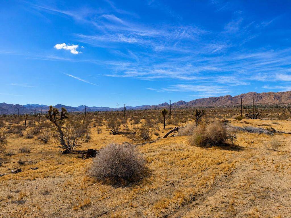 https://bt-photos.global.ssl.fastly.net/socal/orig_boomver_1_447781217-2.jpg