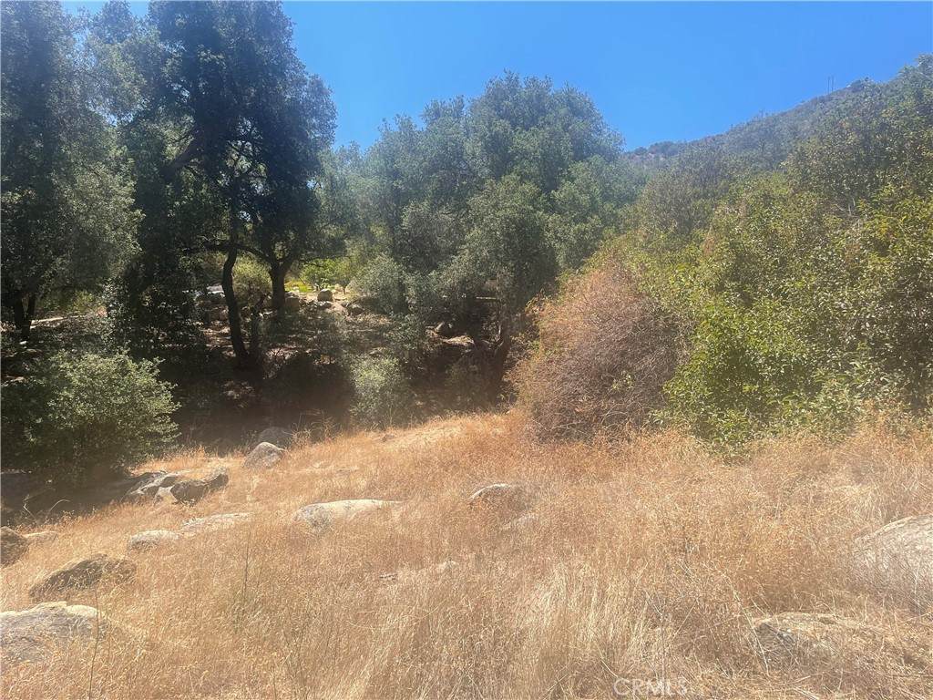 0 Friar Tuck Way - Photo 1