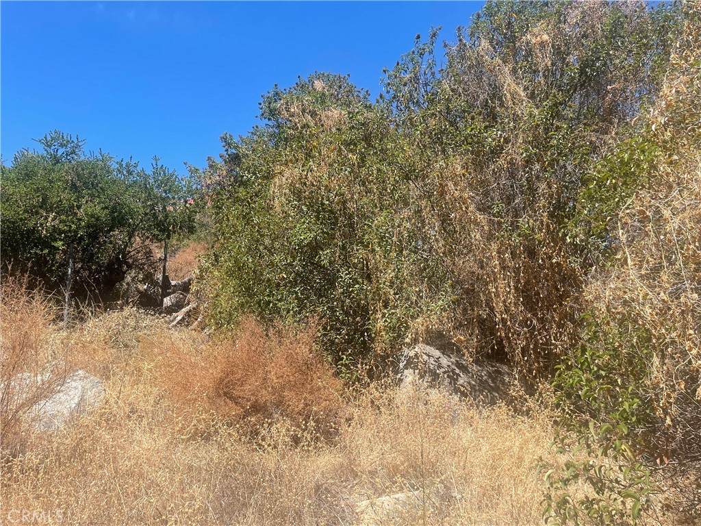 https://bt-photos.global.ssl.fastly.net/socal/orig_boomver_1_447867112-2.jpg