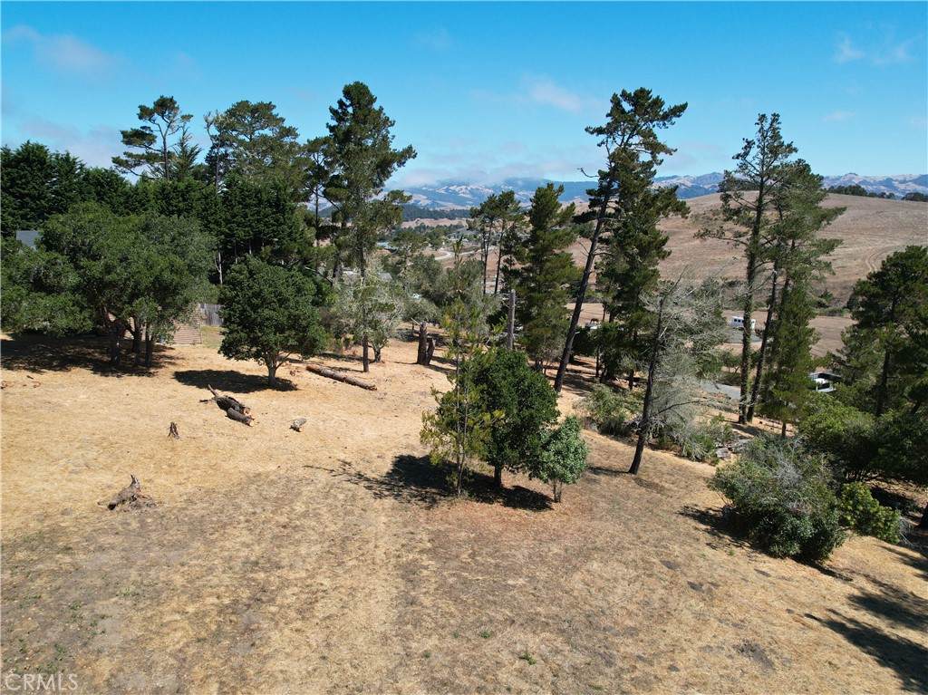 https://bt-photos.global.ssl.fastly.net/socal/orig_boomver_1_447954320-2.jpg