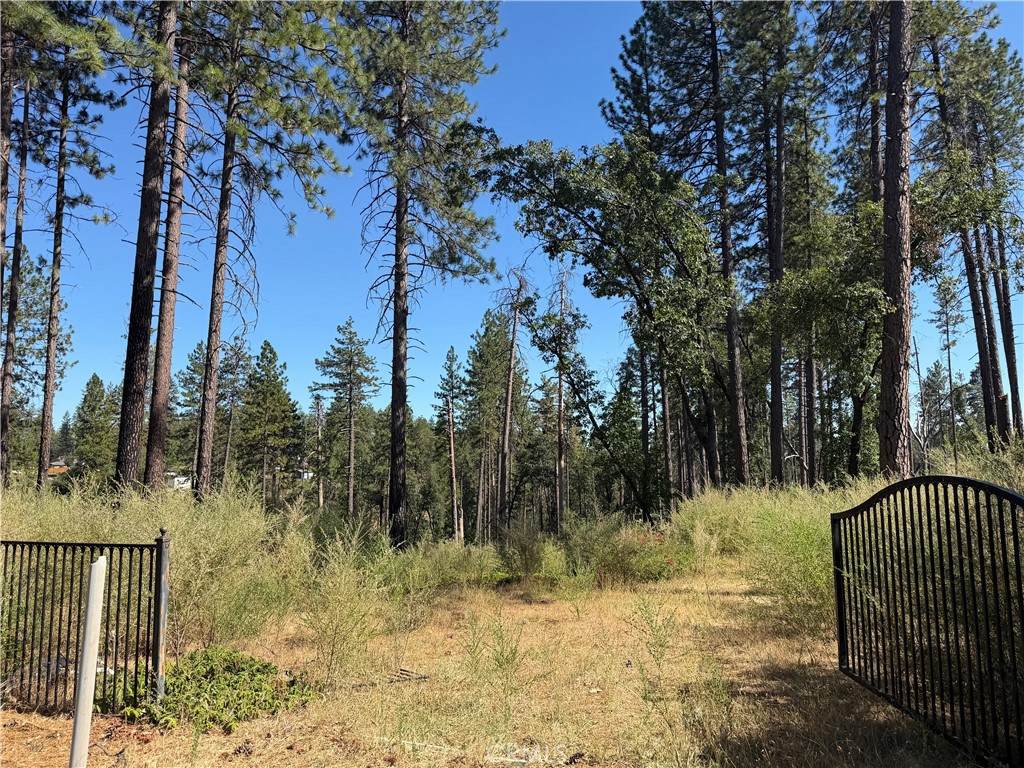 5884 Boeta Court - Photo 1