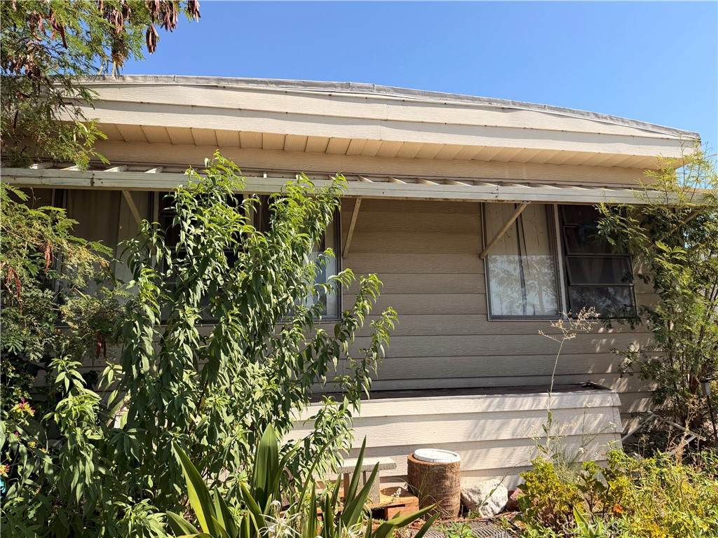 185 Eucalyptus - Photo 1