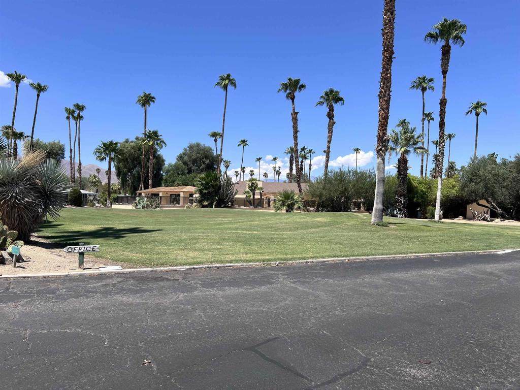 1010 Palm Canyon - Photo 1