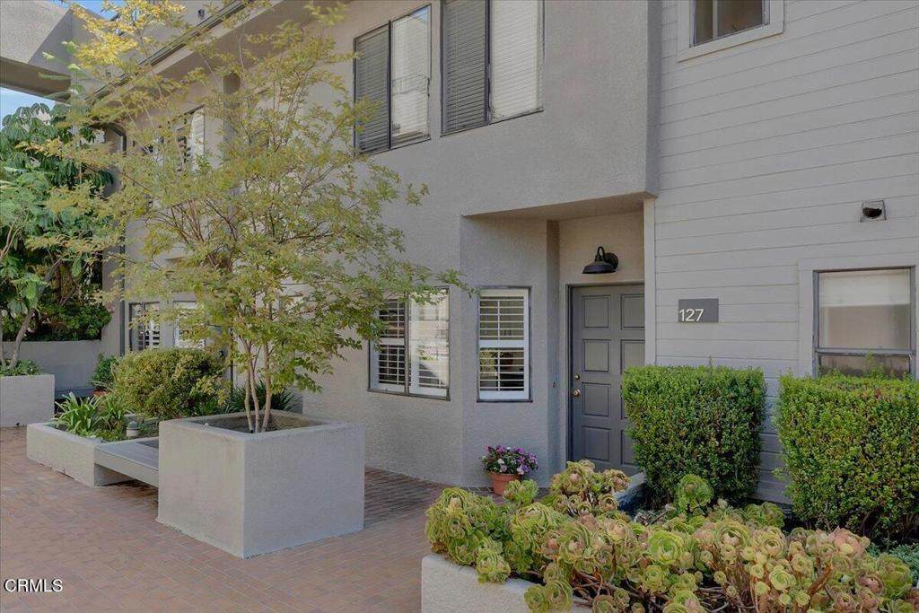 1310 Orange Grove Boulevard - Photo 1