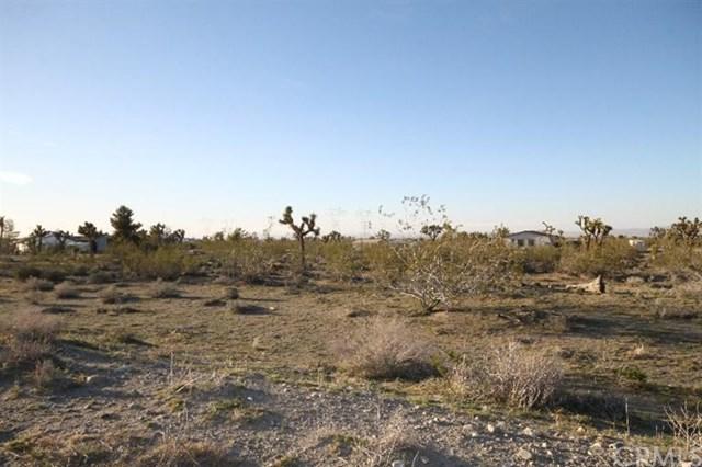 0 La Mesa Rd / Amarillo - Photo 1