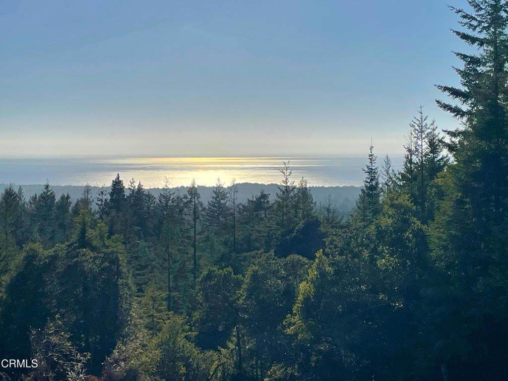 28200 Simpson Lane - Photo 1