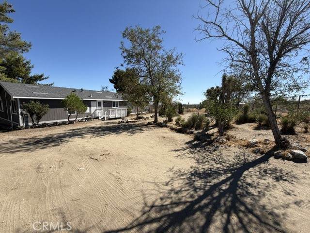 278 Yucca - Photo 1