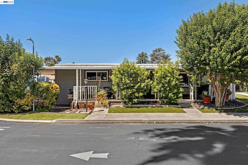 2061 Dalis Drive - Photo 1
