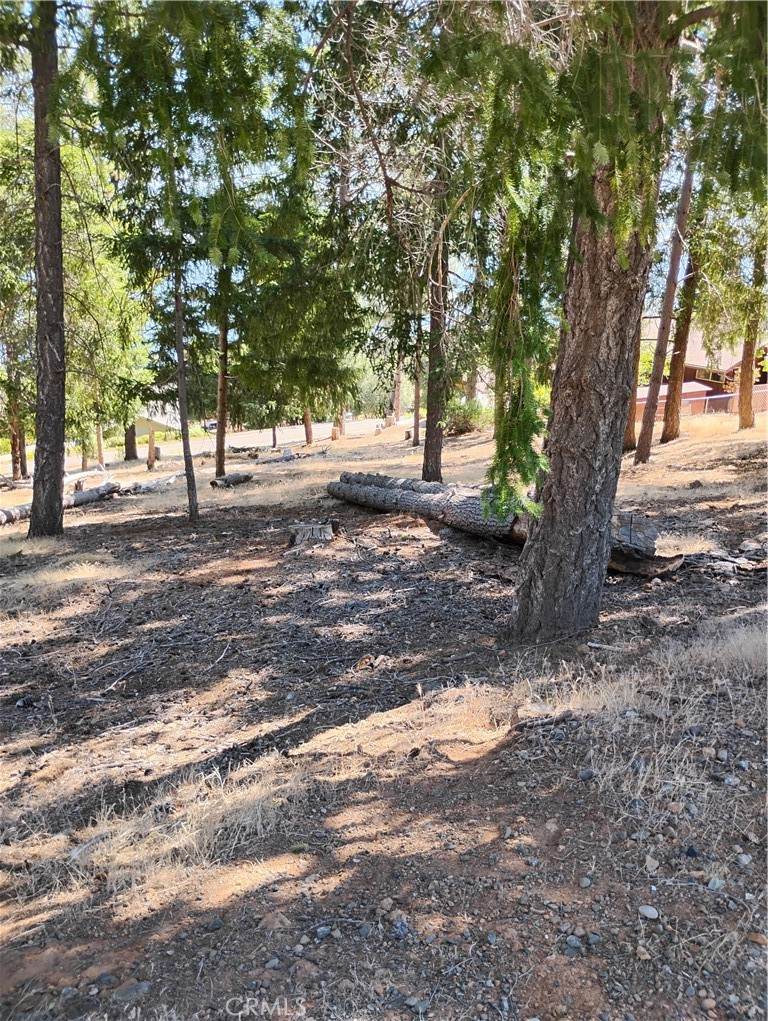 3556-Dr Meadow Wood Drive - Photo 1