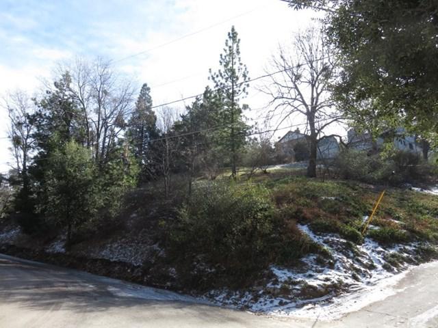 0 Edelweiss - Photo 1