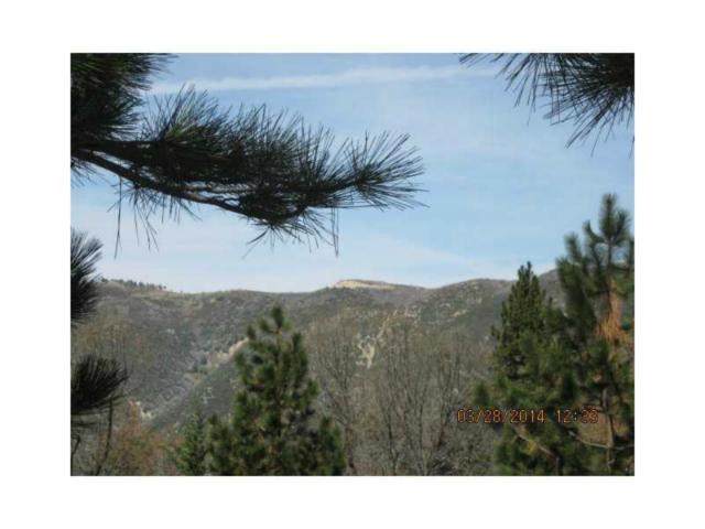 30177 Pixie Drive - Photo 1