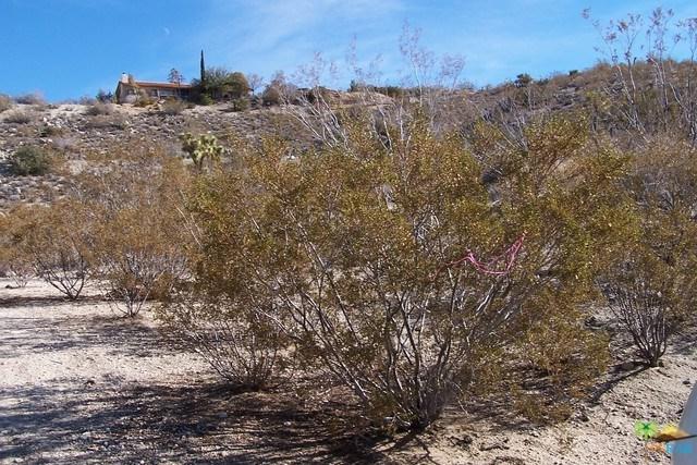 8049 Joshua Lane - Photo 1