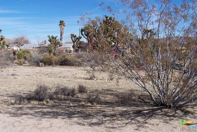 7059 Apache Trail - Photo 1
