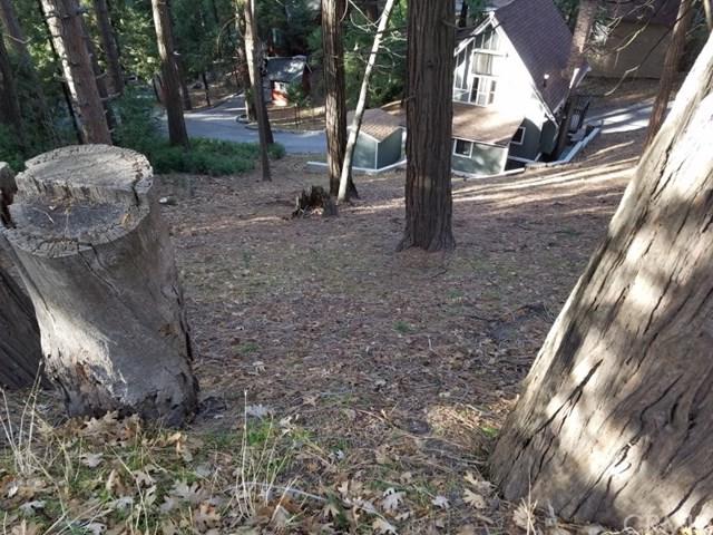 0 Crest Forest Drive - Photo 1