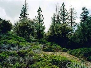 0 Highway 38 - Photo 1