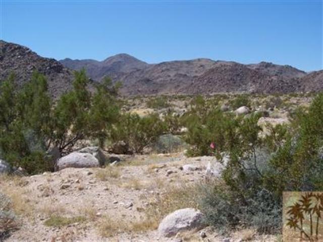 7032 Manzanita Avenue - Photo 1