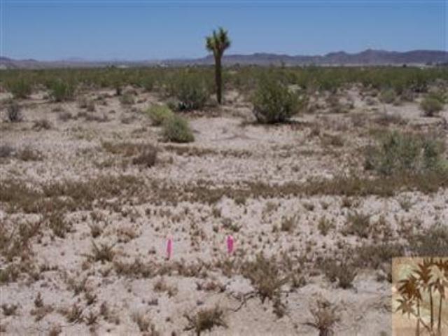 64746 Chollita Road - Photo 1