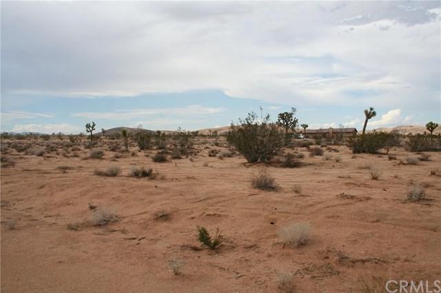 60576 Granville Road - Photo 1