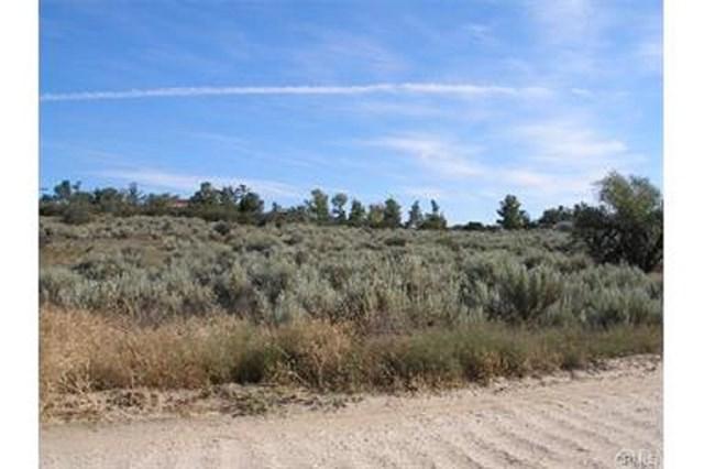 38085 Willis Rd. - Photo 1