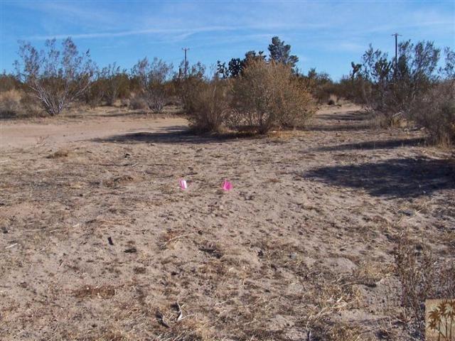 0 Old Woman Springs Road - Photo 1