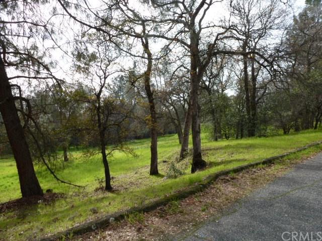 0 Canyon Highlands Drive - Photo 1