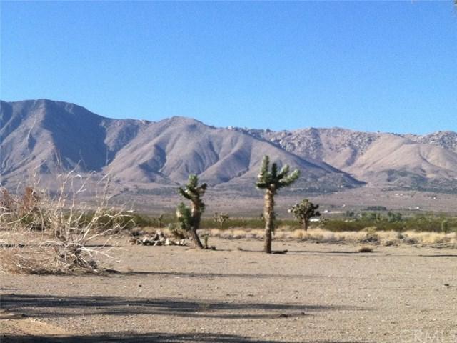 0 Palmdale Road - Photo 1