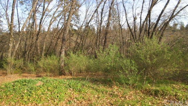 5376 Breezewood Drive - Photo 1