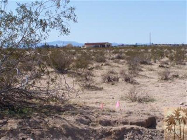 0 Desert Flower Avenue - Photo 1