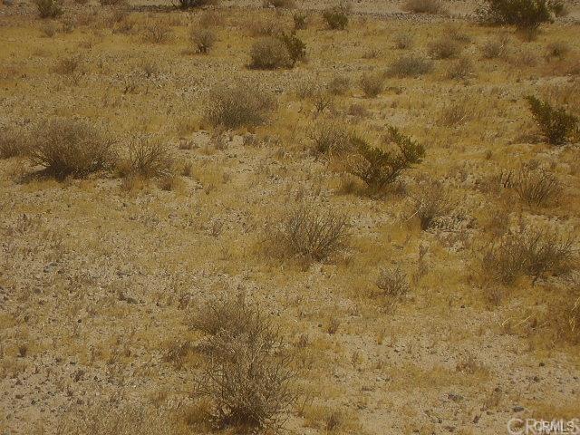 41501 Field - Photo 1