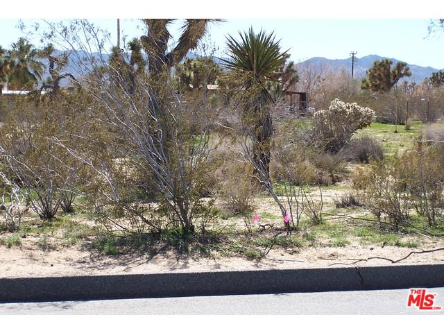 0 Buena Vista Drive - Photo 1