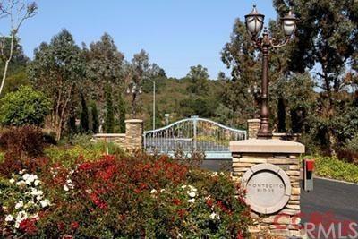 1050 Montecito Ridge - Photo 1