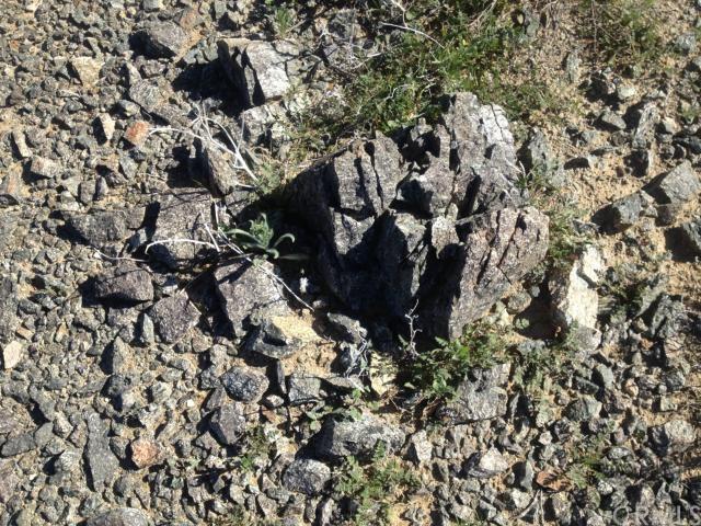 0 Road - Photo 1