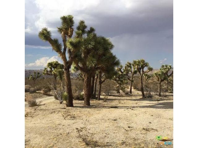 9999 Mountain View Trail - Photo 1