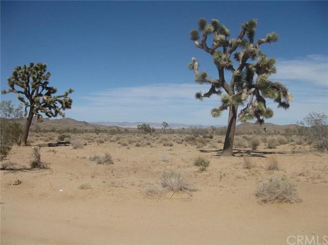 0 Balsa Avenue - Photo 1
