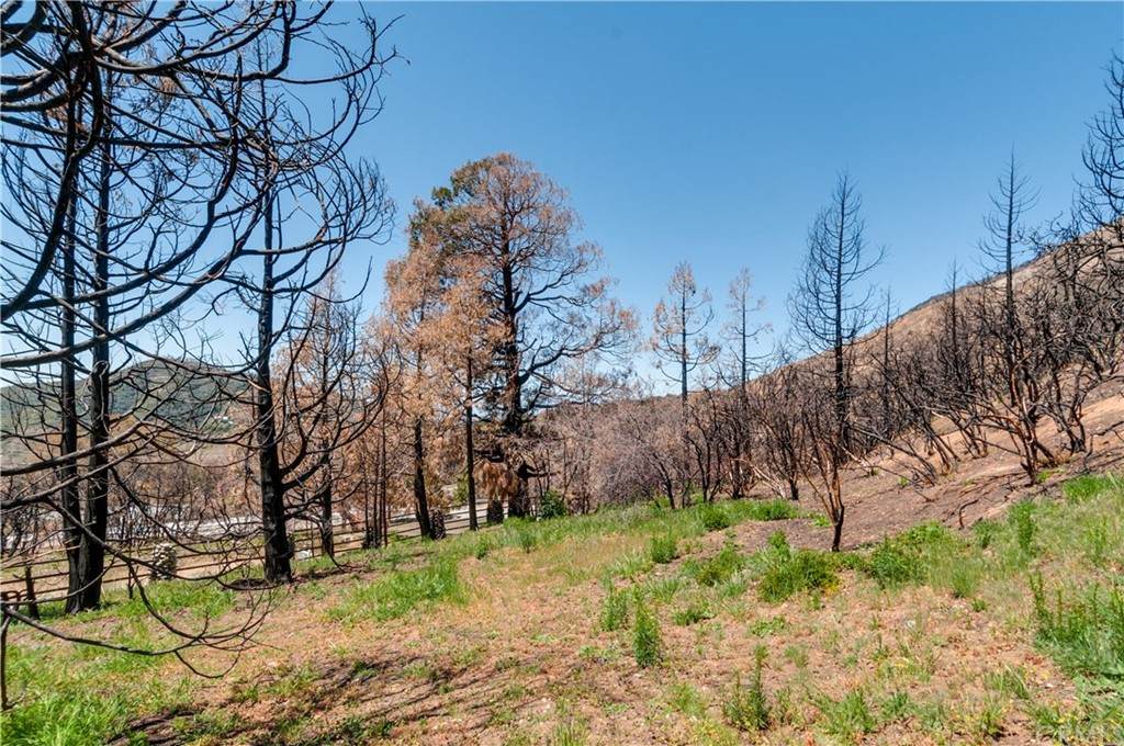 0 Pine Bench Road - Photo 1