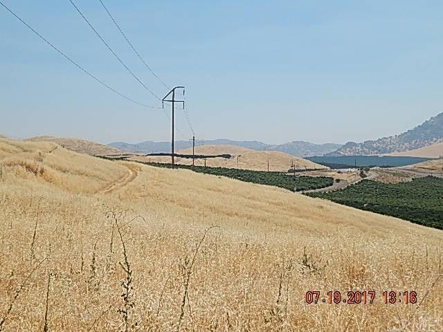 15808070 Piedra Road - Photo 1