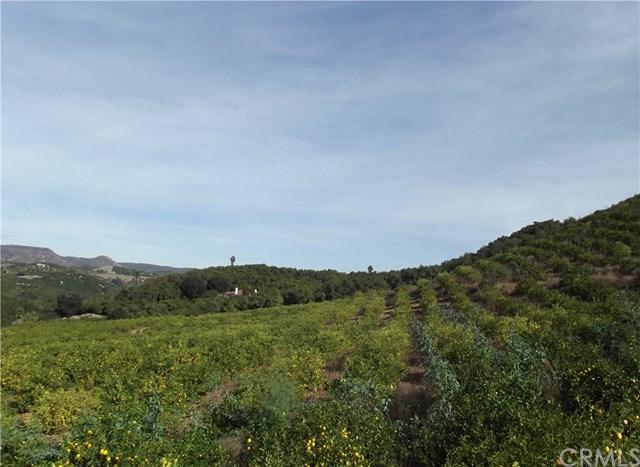 6 El Prado Road - Photo 1