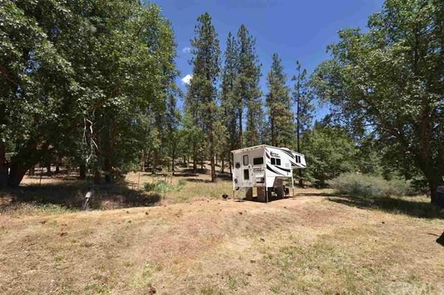 3917 Scott River Road - Photo 1