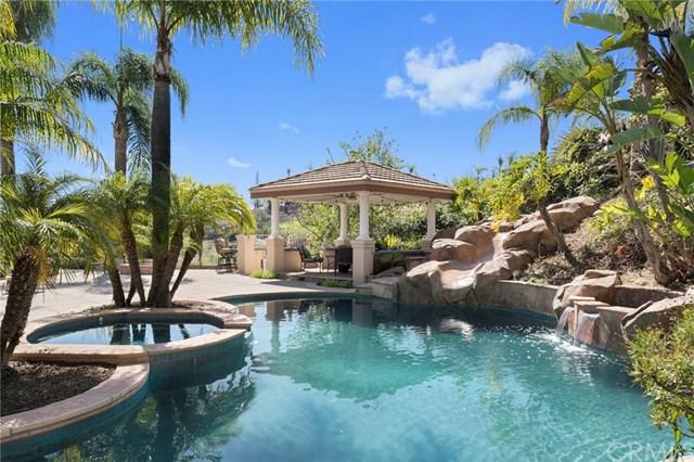6920 Avenida De Santiago - Photo 1