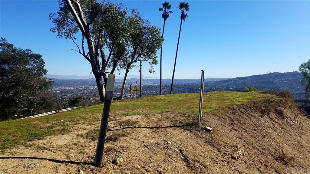 3317 Turnbull Canyon Rd - Photo 1
