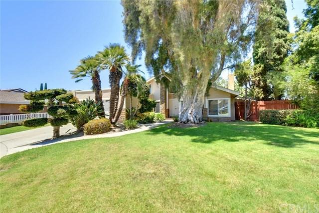 9651 Rindge Circle - Photo 1