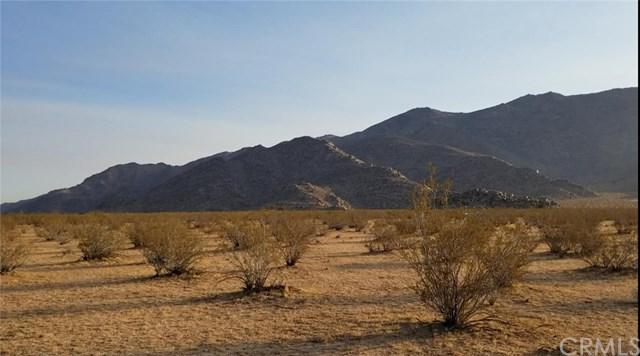0 Del Oro - Photo 1