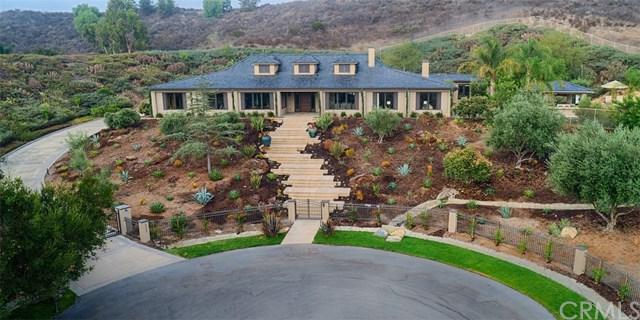31592 Vinedo Road - Photo 1