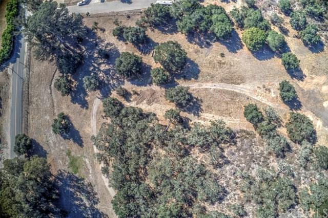 0 Corbett Canyon Road - Photo 1